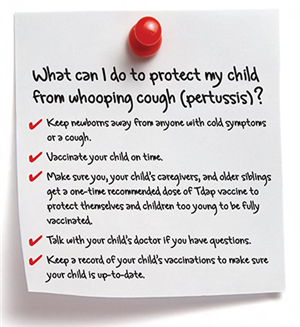 Student Health and Wellness / "Whooping Cough" Pertussis